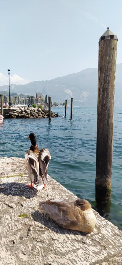Riva Del Garda Nest Apartamento Exterior foto